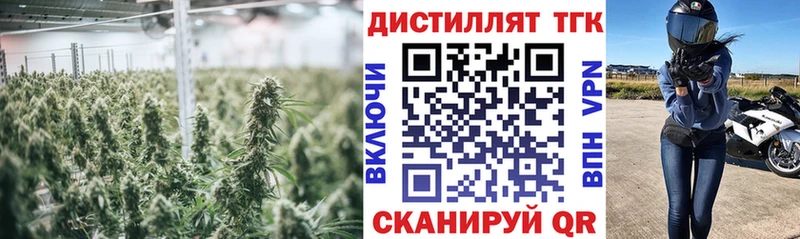 Дистиллят ТГК гашишное масло Новоалександровск