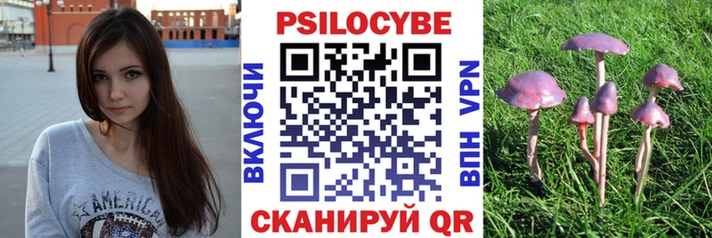 ОМГ ОМГ как зайти  Новоалександровск  Псилоцибиновые грибы Psilocybine cubensis  где купить наркотик 