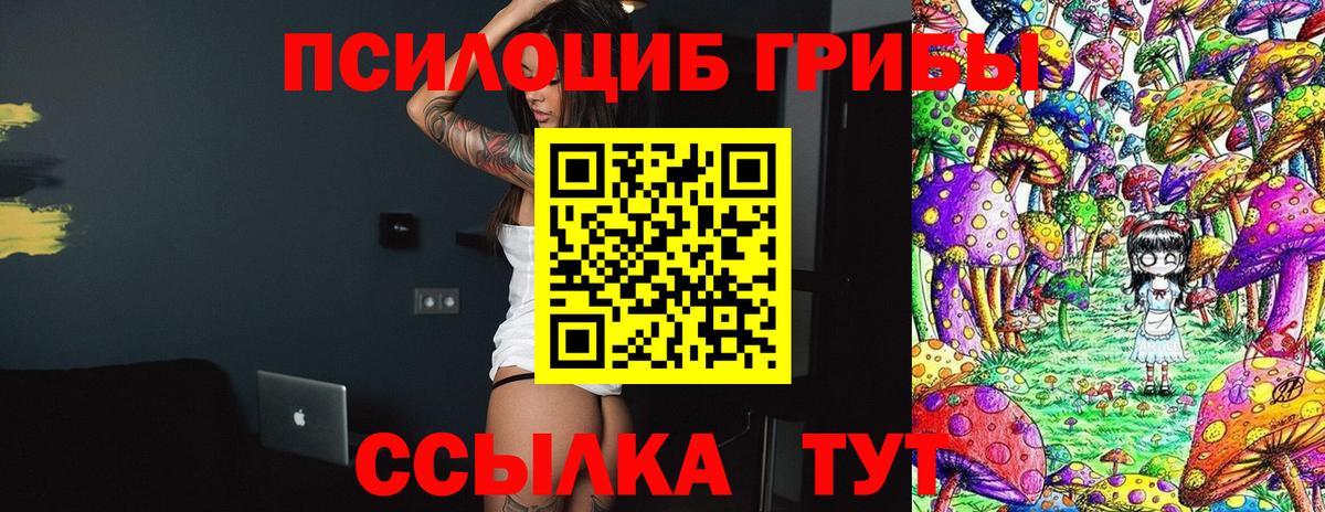 Псилоцибиновые грибы Psilocybine cubensis Новоалександровск