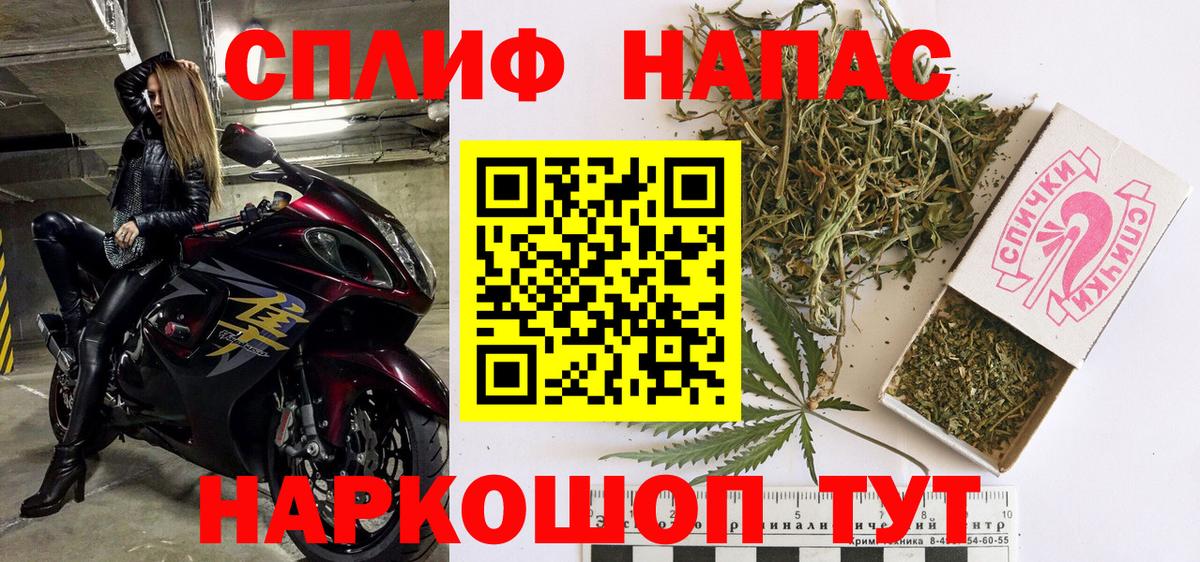 Конопля марихуана Новоалександровск